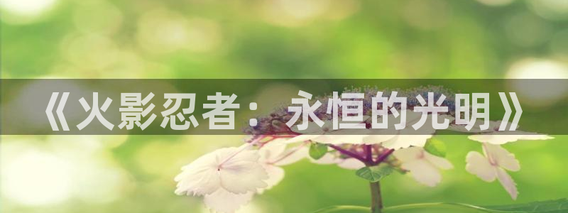 韩漫免费观看大全：《火影忍者：永恒的光明》