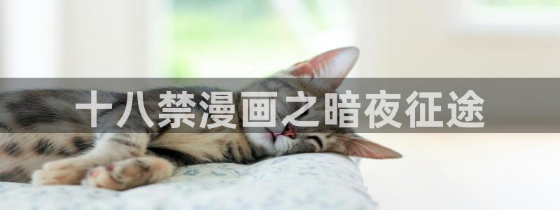 汗汗漫画韩漫漫画：十八禁漫画之暗夜征途