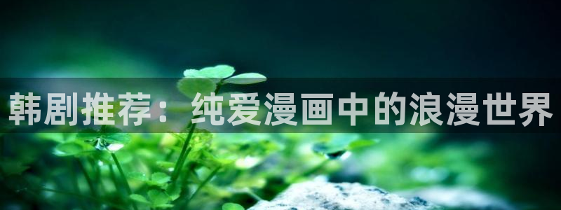 韩漫免费观看歪歪漫画：韩剧推荐：纯爱漫画中的浪漫世界
