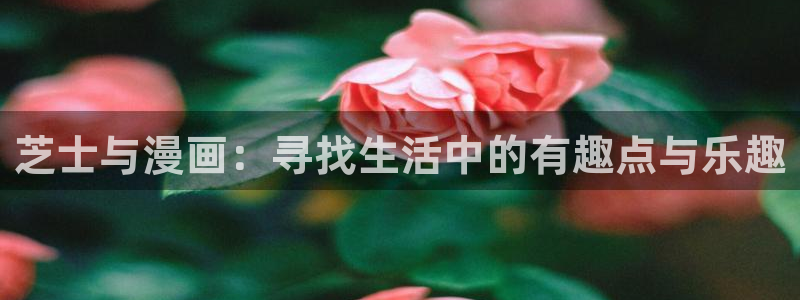成人性漫画韩漫：芝士与漫画：寻找生活中的有趣点与乐趣