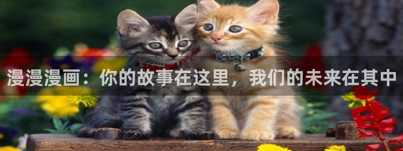韩漫漫画免费阅读下拉式漫画：漫漫漫画：你的故事在这里，我们的未来在其中