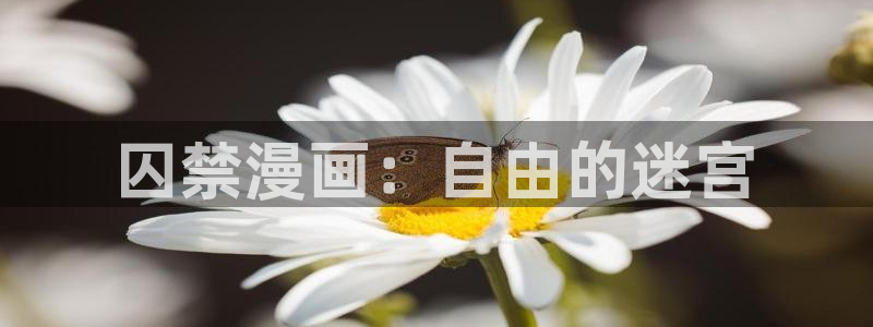 tl韩漫画免费官网：囚禁漫画：自由的迷宫