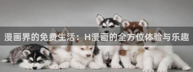 韩漫画汗汗：漫画界的免费生活：H漫画的全方位体验与乐趣