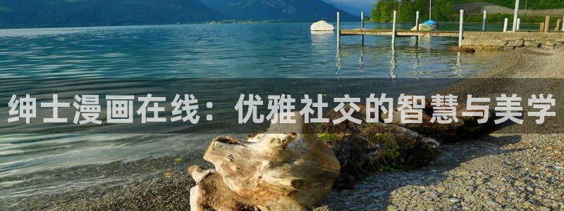 漫画韩漫漫画：绅士漫画在线：优雅社交的智慧与美学