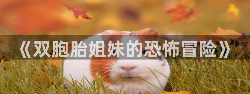 韩漫在线观看阅读：《双胞胎姐妹的恐怖冒险》