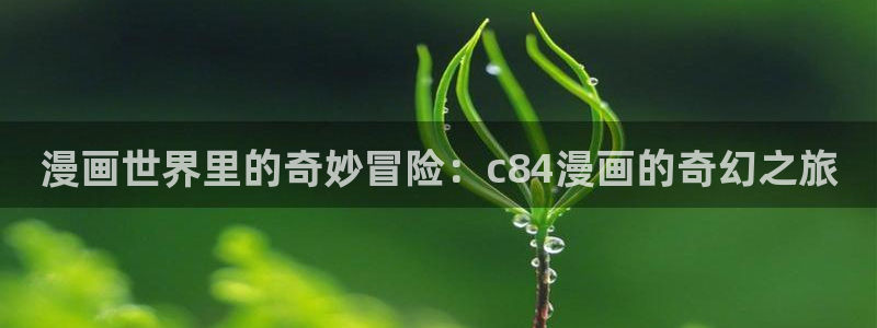 韩漫网站动漫无删减