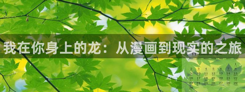 韩漫观看入口：我在你身上的龙：从漫画到现实的之旅